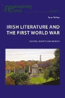 Terry Phillips, Eamon Maher - Irish Literature and the First World War, Häftad
