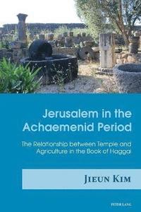 bokomslag Jerusalem in the Achaemenid Period