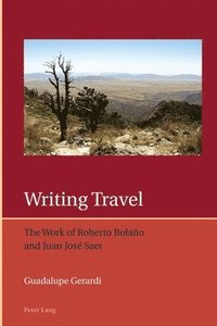 bokomslag Writing Travel