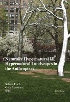 bokomslag Naturally Hypernatural III: Hypernatural Landscapes in the Anthropocene