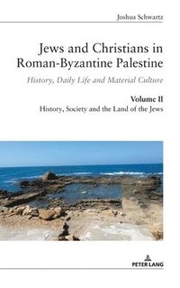 bokomslag Jews and Christians in Roman-Byzantine Palestine (vol. 2)