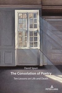 bokomslag The Consolation of Poetry