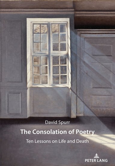 David Spurr - Consolation of Poetry, Häftad