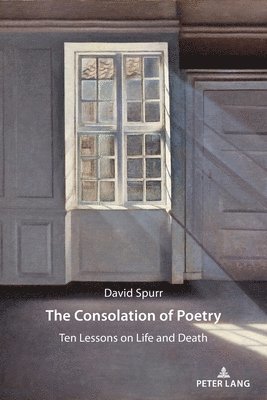 David Spurr - Consolation of Poetry, Häftad