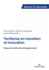 bokomslag Territoires en transition et innovation