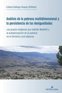 bokomslag Anlisis de la pobreza multidimensional y la persistencia de las desigualdades