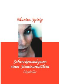 bokomslag Schreckensodyssee einer Staatsanwältin