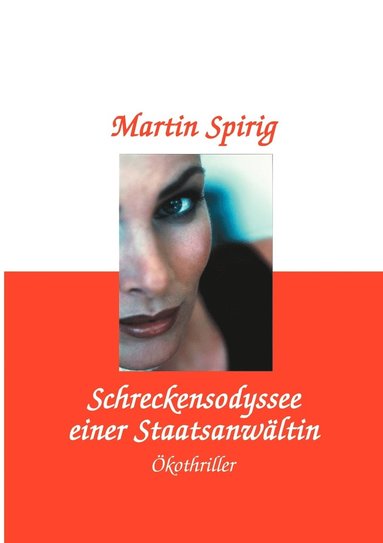 bokomslag Schreckensodyssee einer Staatsanwältin