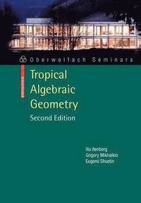 bokomslag Tropical Algebraic Geometry