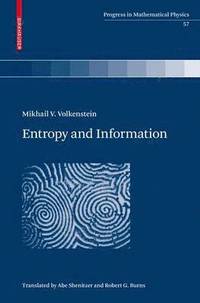 bokomslag Entropy and Information