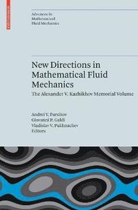 bokomslag New Directions in Mathematical Fluid Mechanics