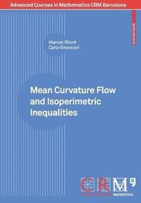 bokomslag Mean Curvature Flow and Isoperimetric Inequalities