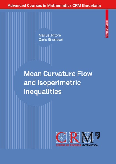 Manuel Ritoré, Carlo Sinestrari, Vicente Miquel, Joan Porti - Mean Curvature Flow and Isoperimetric Inequalities, Häftad