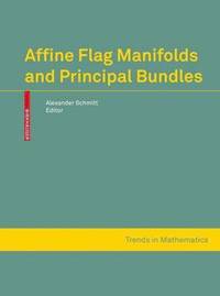 bokomslag Affine Flag Manifolds and Principal Bundles
