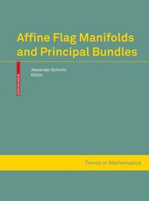 bokomslag Affine Flag Manifolds and Principal Bundles