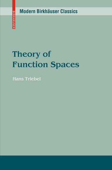 Hans Triebel - Theory of Function Spaces, Häftad