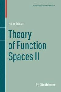 bokomslag Theory of Function Spaces II