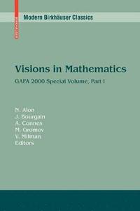 bokomslag Visions in Mathematics