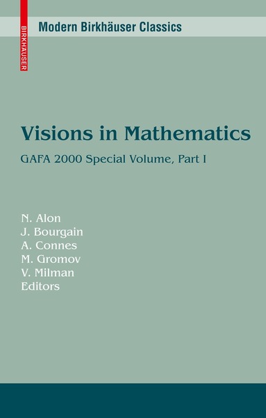 Noga Alon, Jean Bourgain, Alain Connes, Misha Gromov, Vitali D. Milman - Visions in Mathematics, Häftad