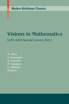 bokomslag Visions in Mathematics