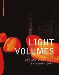 bokomslag Light Volumes