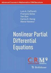 bokomslag Nonlinear Partial Differential Equations