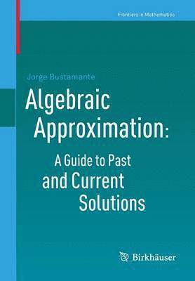 bokomslag Algebraic Approximation: A Guide to Past and Current Solutions