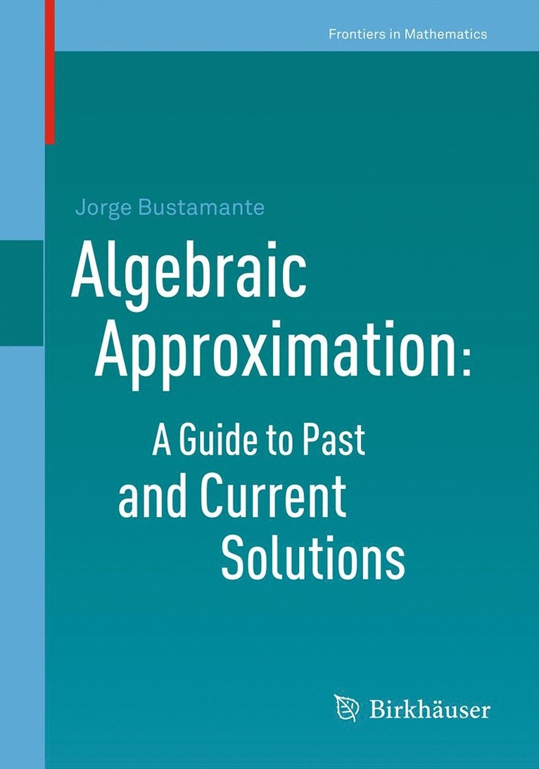 Jorge Bustamante - Algebraic Approximation: A Guide to Past and Current Solutions, Häftad