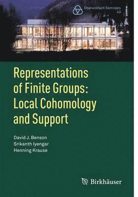 bokomslag Representations of Finite Groups: Local Cohomology and Support