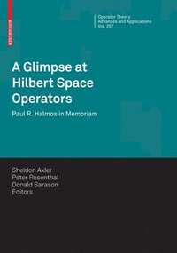 bokomslag A Glimpse at Hilbert Space Operators