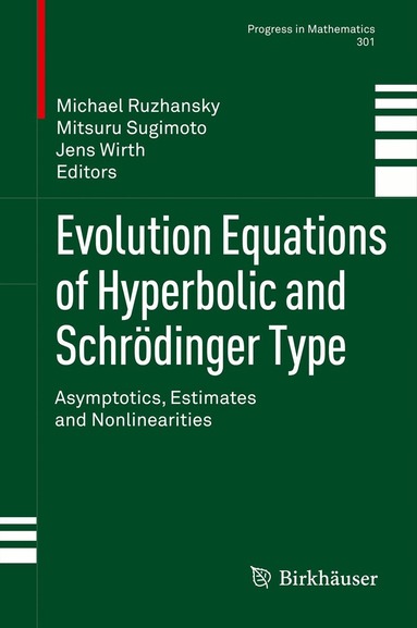 Michael Ruzhansky, Mitsuru Sugimoto, Jens Wirth - Evolution Equations of Hyperbolic and Schrödinger Type, Inbunden