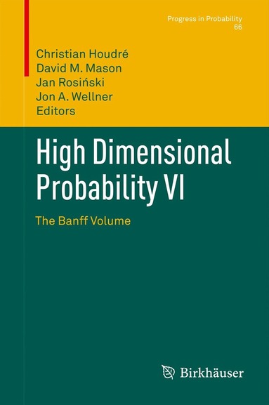 Christian Houdré, David M. Mason, Jan Rosiński, Jon A. Wellner - High Dimensional Probability VI, Inbunden