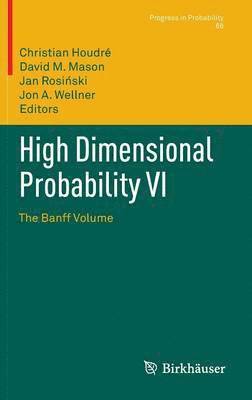 Christian Houdré, David M. Mason, Jan Rosiński, Jon A. Wellner, Jan Rosi¿ski - High Dimensional Probability VI, Inbunden