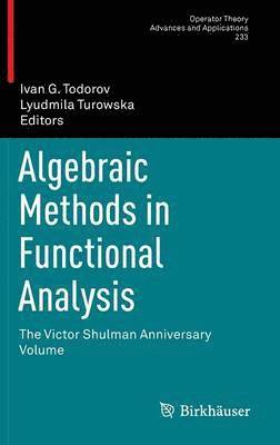 bokomslag Algebraic Methods in Functional Analysis