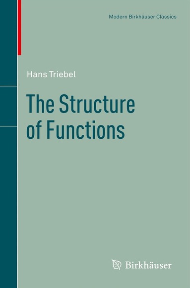 Hans Triebel - Structure of Functions, Häftad
