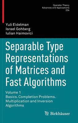 Separable Type Representations of Matrices and Fast Algorithms 1