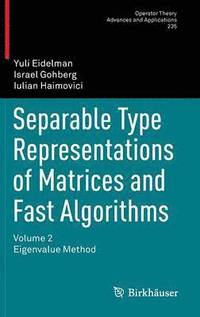 bokomslag Separable Type Representations of Matrices and Fast Algorithms