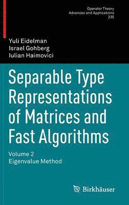 Separable Type Representations of Matrices and Fast Algorithms 1