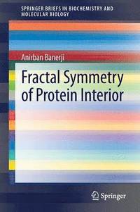 bokomslag Fractal Symmetry of Protein Interior