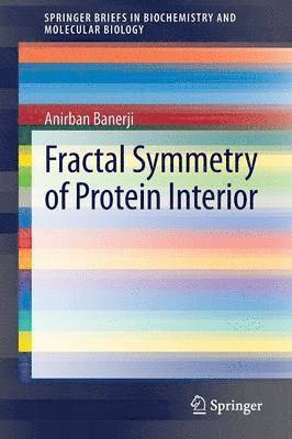 Fractal Symmetry of Protein Interior 1