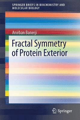 bokomslag Fractal Symmetry of Protein Exterior