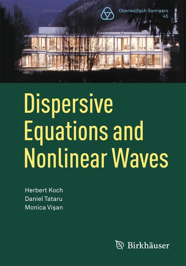 Herbert Koch, Daniel Tataru, Monica Vişan - Dispersive Equations and Nonlinear Waves, Häftad