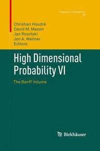 bokomslag High Dimensional Probability VI