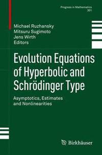 bokomslag Evolution Equations of Hyperbolic and Schrdinger Type
