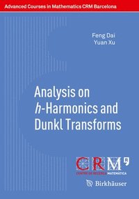 bokomslag Analysis on h-Harmonics and Dunkl Transforms