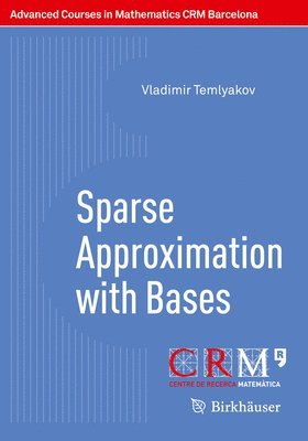 bokomslag Sparse Approximation with Bases