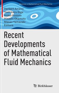 bokomslag Recent Developments of Mathematical Fluid Mechanics