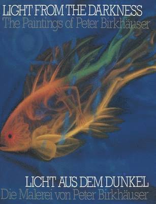 Peter Birkhäuser - Light From the Darkness / Licht aus dem Dunkel, Häftad
