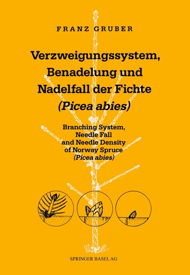 GRUBER, 3 - Verzweigungssystem, Benadelung und Nadelfall der Fichte (Picea abies), Häftad