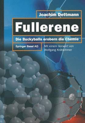 bokomslag Fullerene